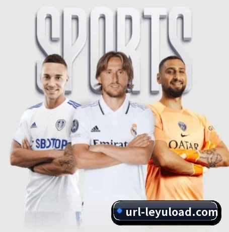五大服务分区,信息按项目分类 - Leyu.com